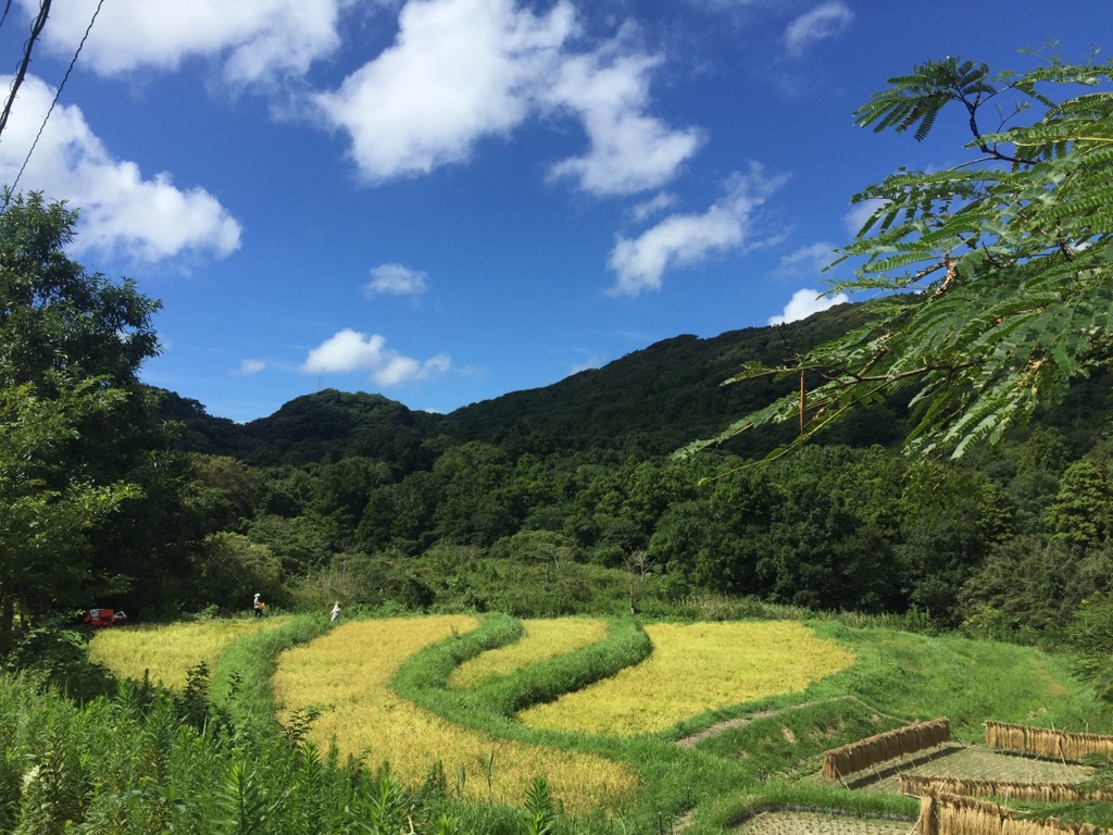 パーマカルチャー講座 里山の生きものたちと作る 雑草の生えてこない田んぼづくり 岐阜県立森林文化アカデミー