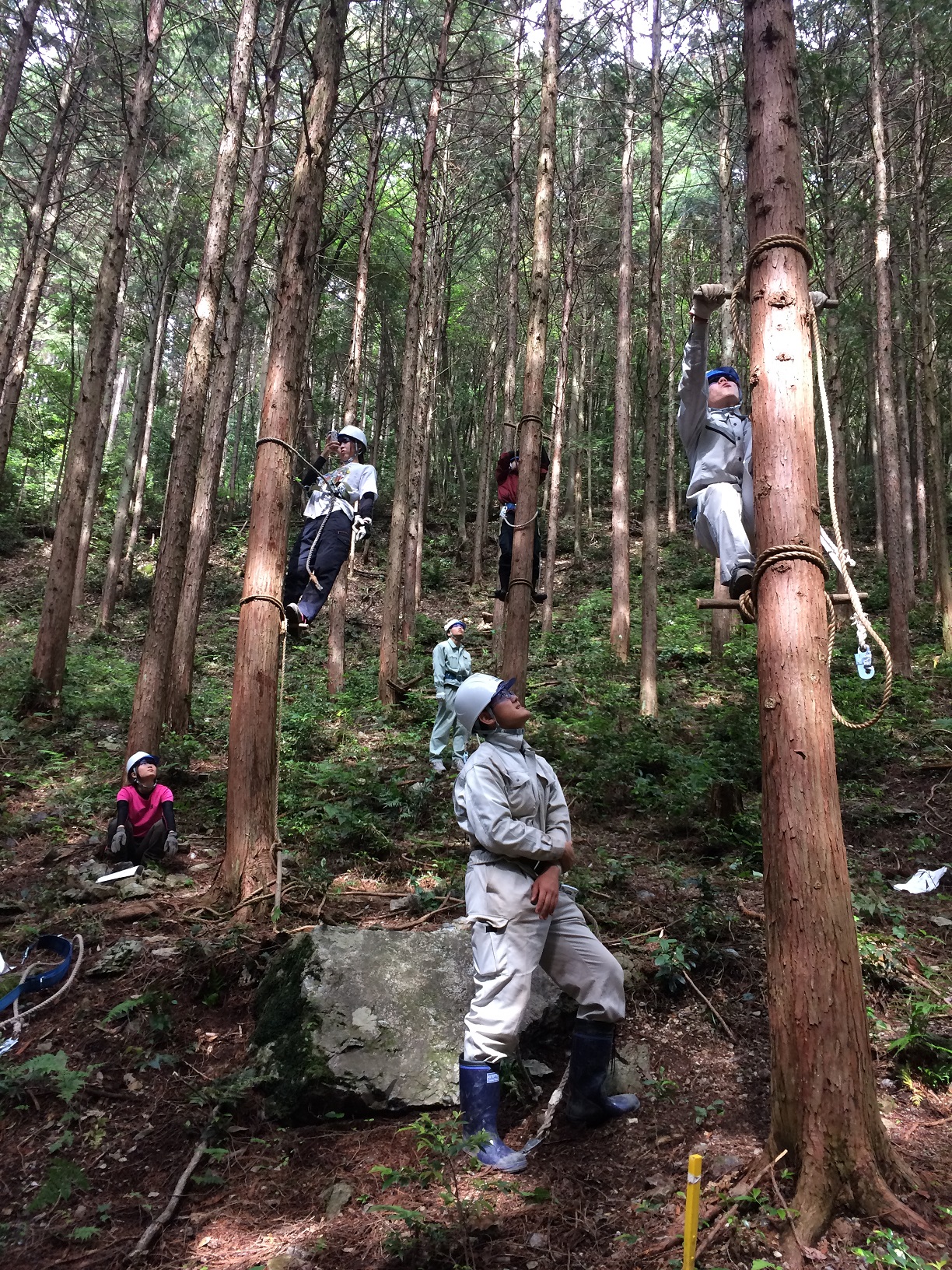 木登り道具 - 登山用品