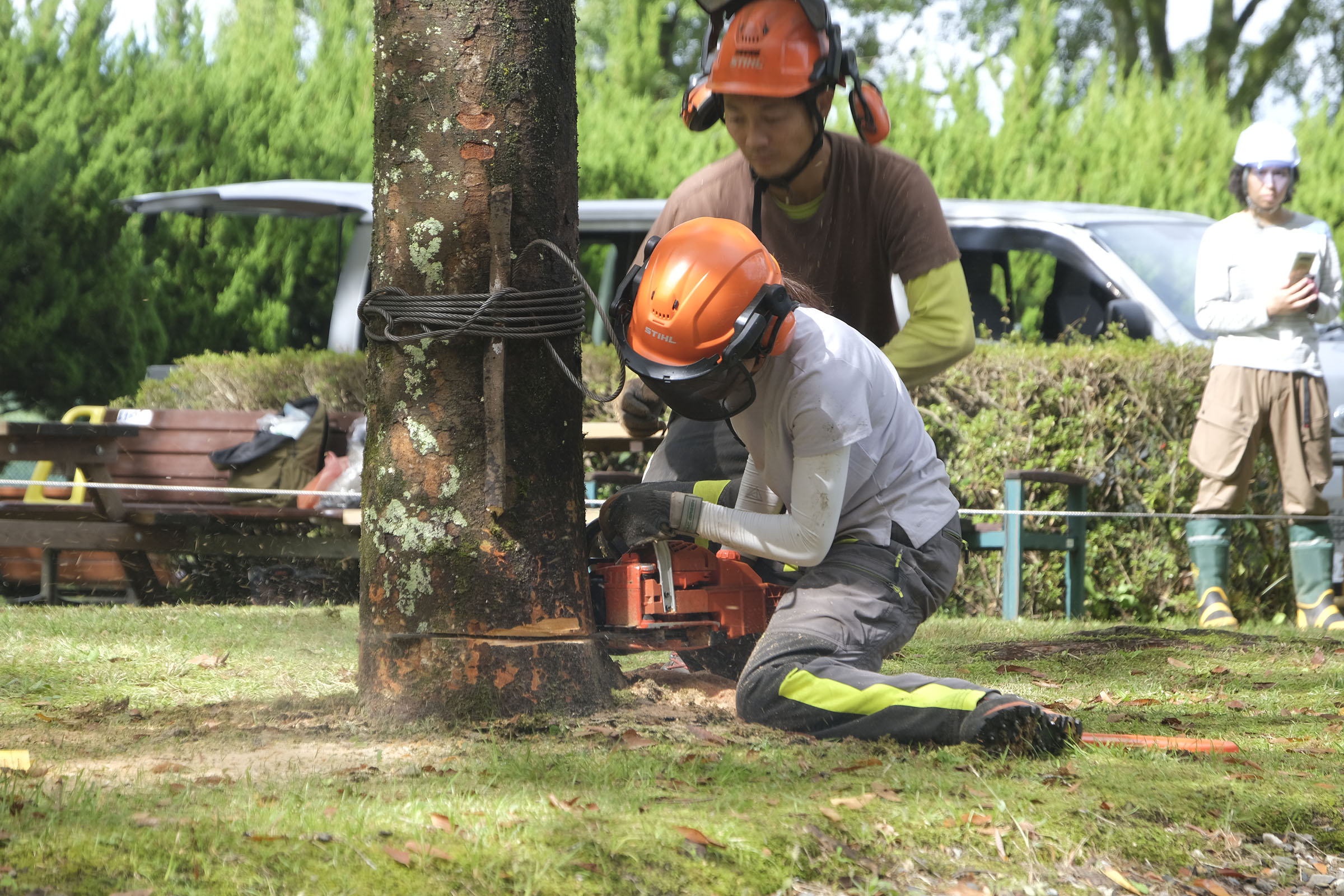 杉本先生の指導を受けながら追い口を切っていきます